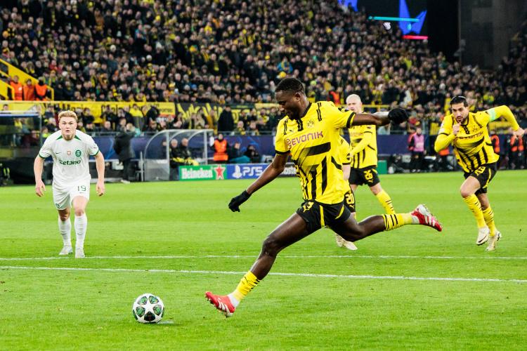 关系很好, 能否夺冠