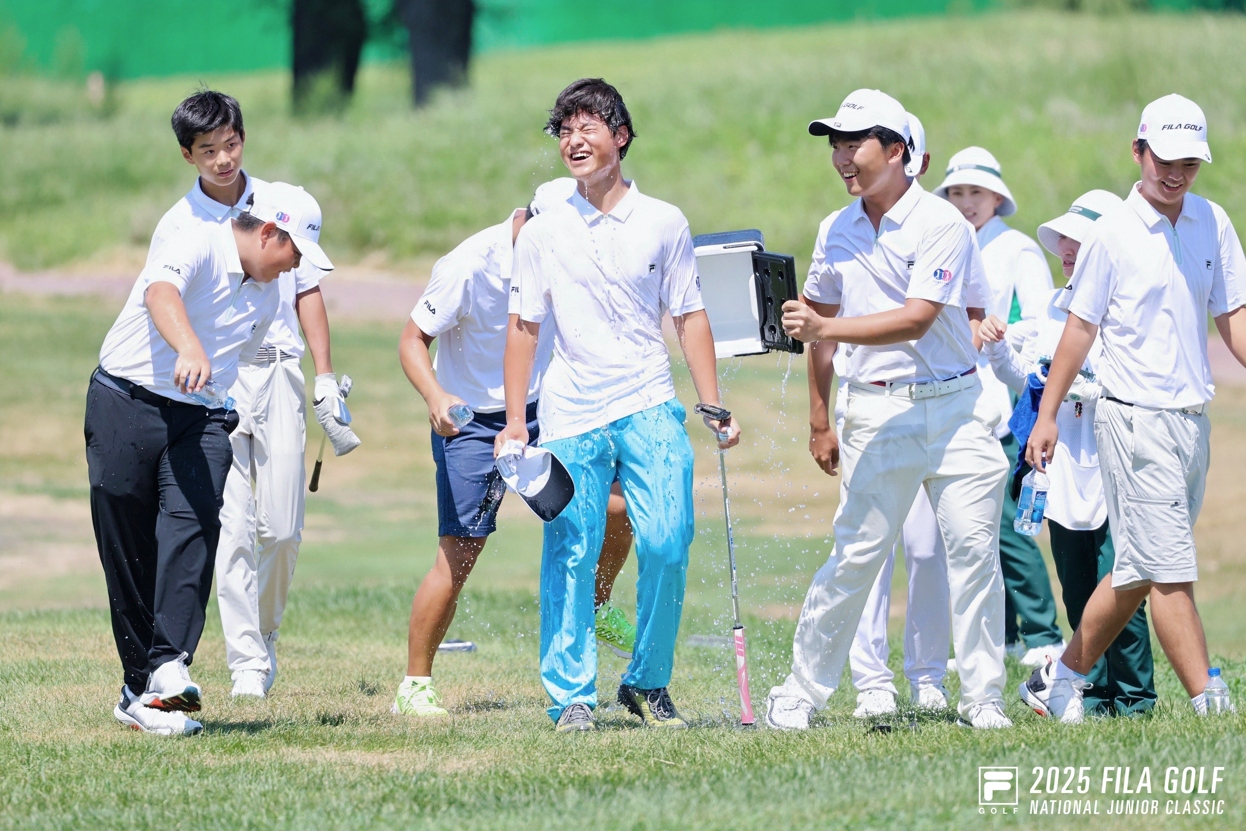 梦启航, msn 梦启航, msn