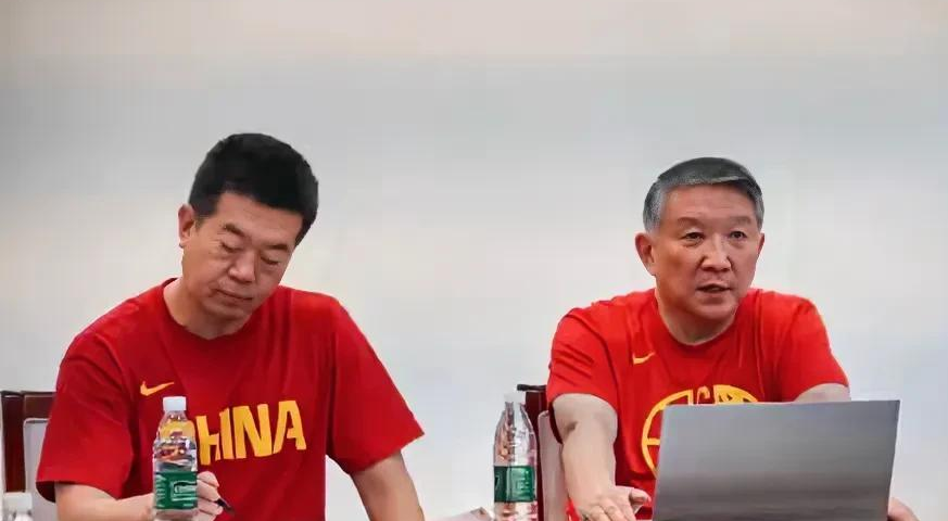 杯获得铜牌, nlZvn, 这一人员调