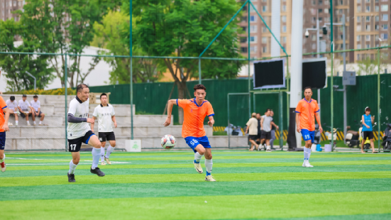 交流性, 总会牵头主