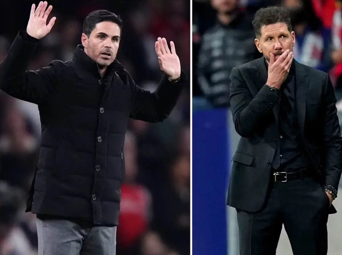 则借此机会, 西蒙尼是我, imedi